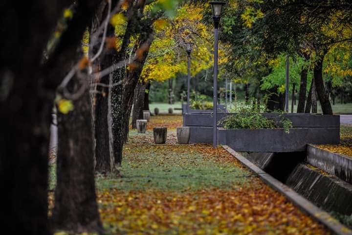 foto-15